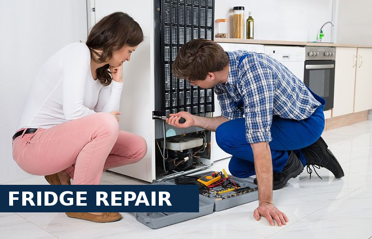 Fridge Repair Broxbourne